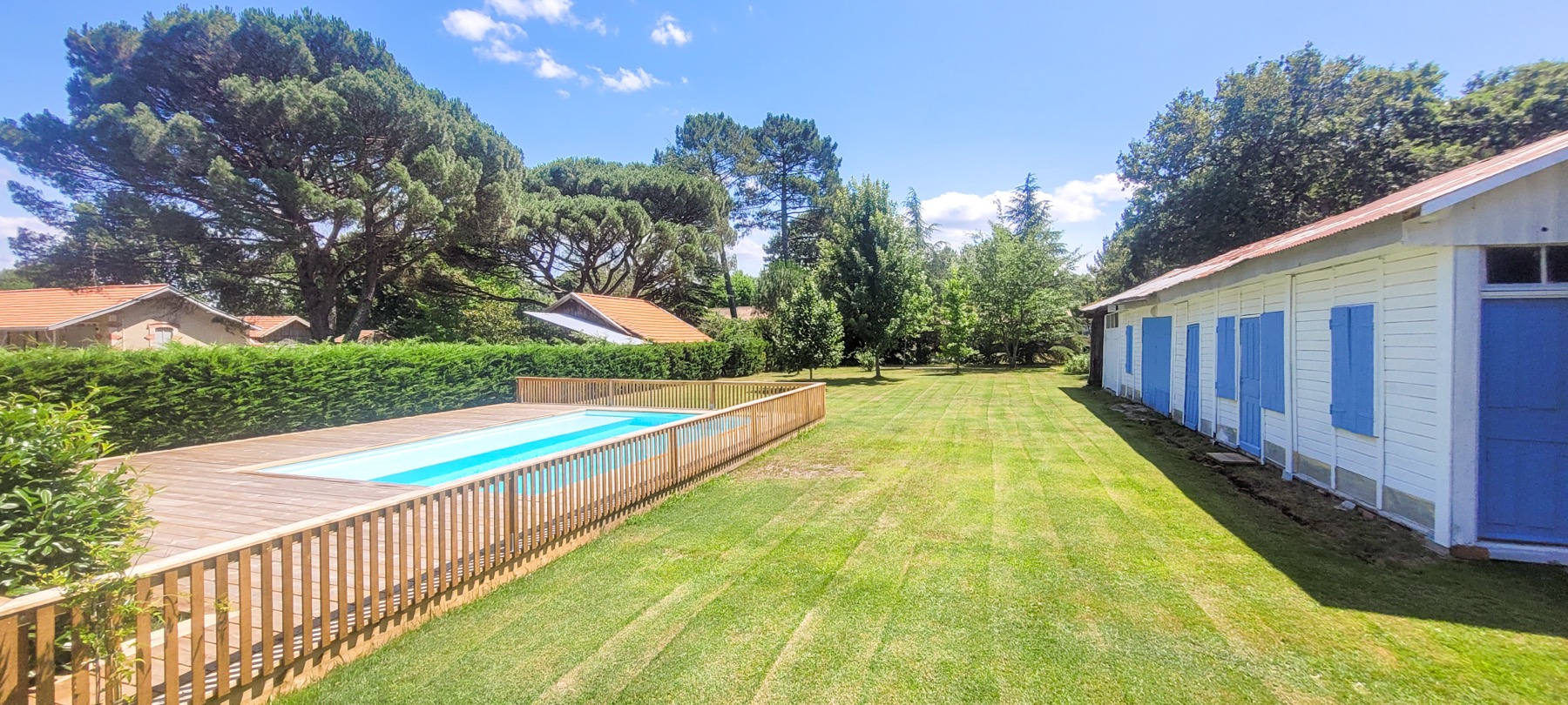 Piscine pelouse grand terrain vue ensemble