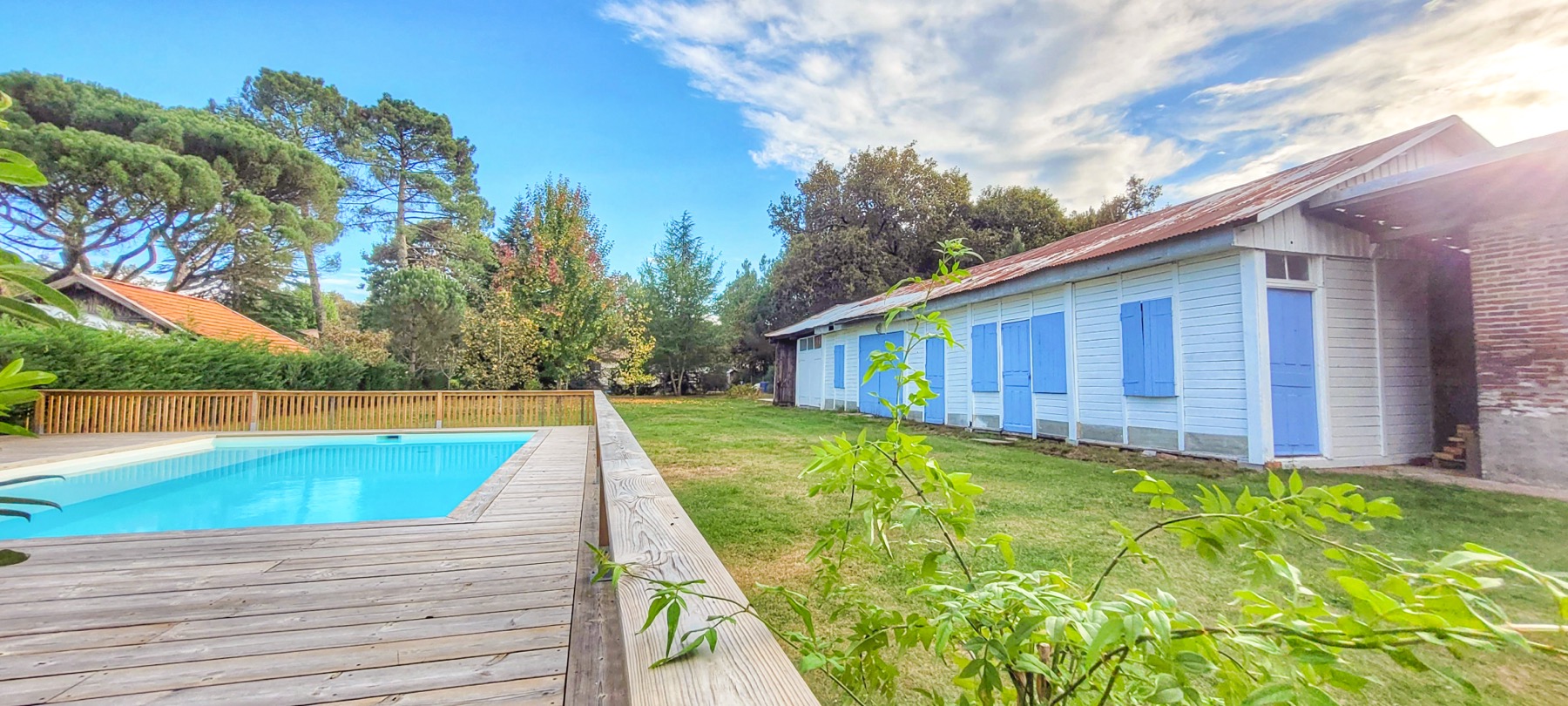 Piscine panorama pins des Landes